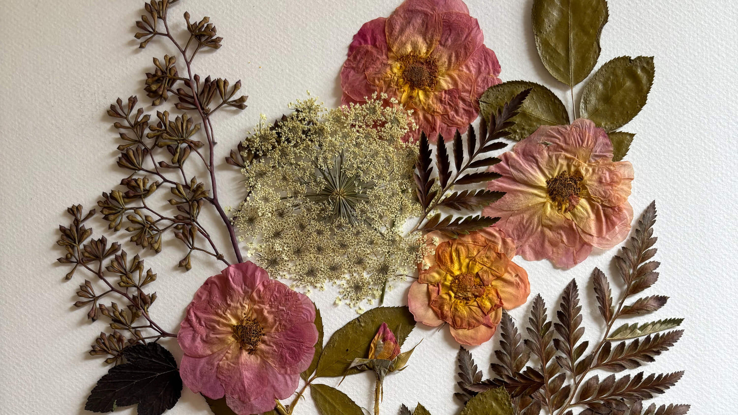 Pressed Floral Pieces