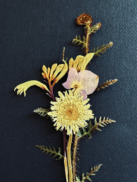 Débonnaire Boutonnieres