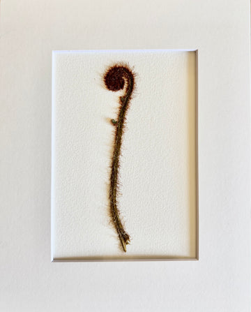Pressed Baby Fern Frond.    Small Artwork Series
