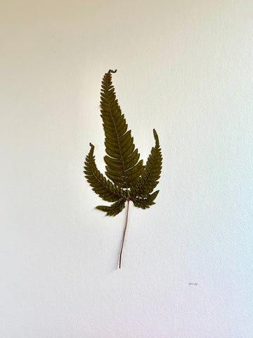 Pressed Solitary Fern