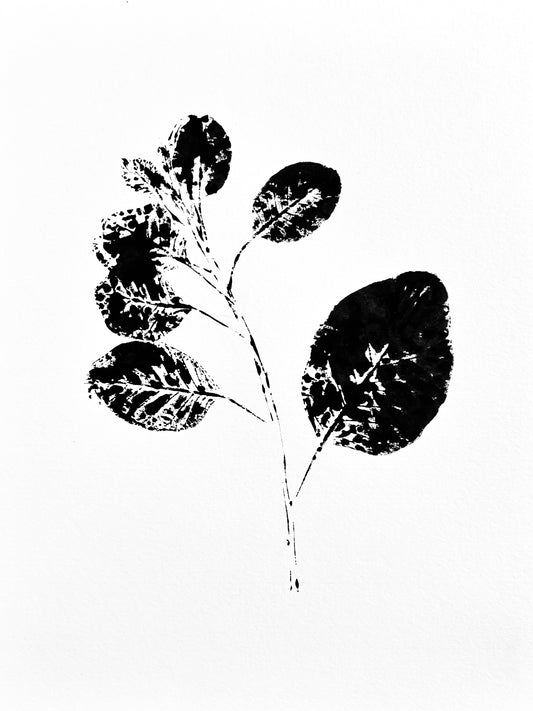 The Tuxedo Collection. Smoke Tree Branch  Ink Transfer