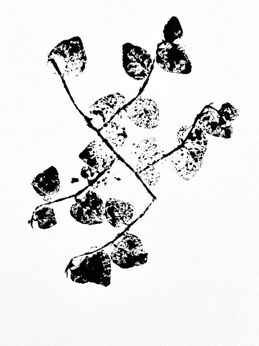 The Tuxedo Collection. Creeping Fig Ink Transfer