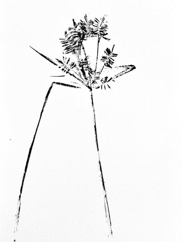 The Tuxedo Collection. Summer Grass Ink Transfer