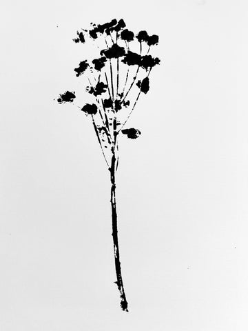 The Tuxedo Collection. Spurge Stem Ink Transfer