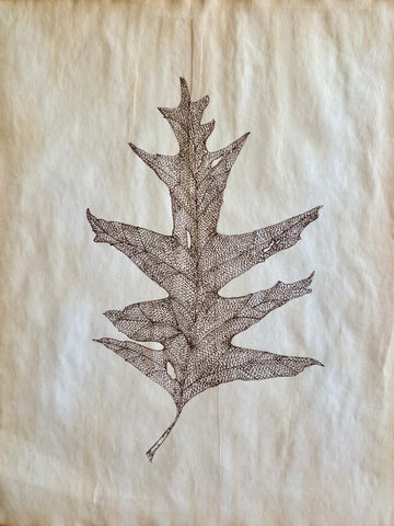 Maple Leaf In Ink On Sepia Stained Paper