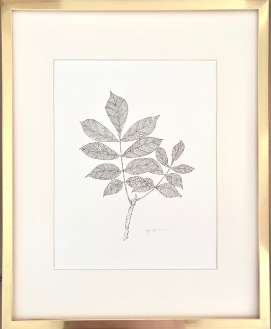 Sketched Chestnut Branch