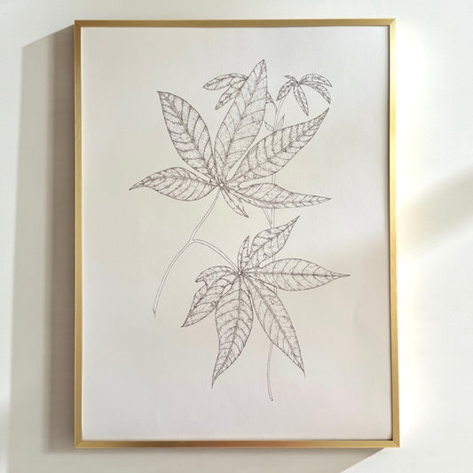 Sketched Buckeye Branch