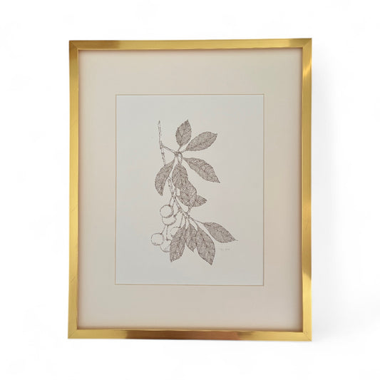 Sketched Wild Cherry Branch