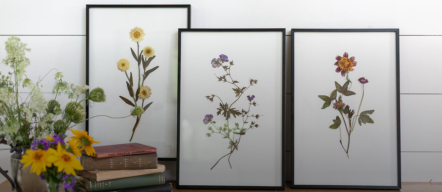 The Art of Playing with Flowers