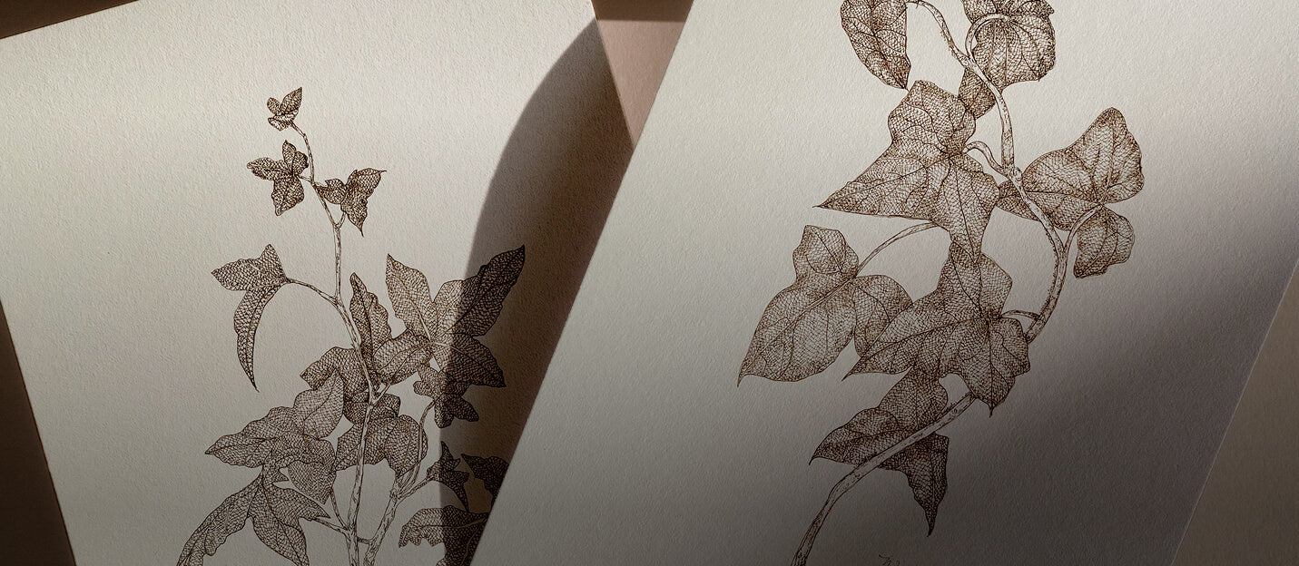 The Art of Playing with Flowers